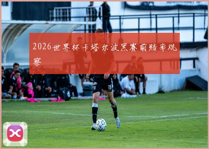 2026世界杯卡塔尔波黑赛前赔率观察