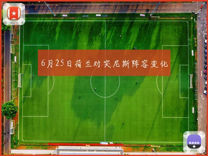 6月25日荷兰对突尼斯阵容变化