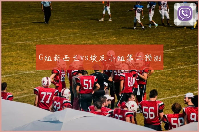 G组新西兰vs埃及小组第二预测