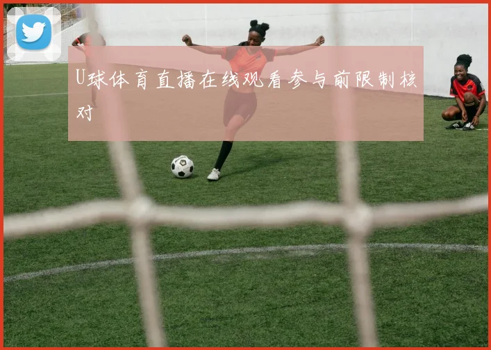 U球体育直播在线观看参与前限制核对