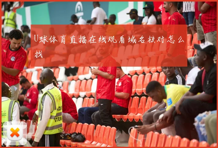 U球体育直播在线观看域名核对怎么找