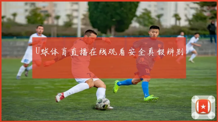 U球体育直播在线观看安全真假辨别